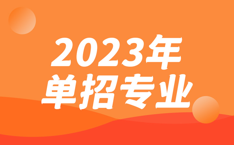 上海興偉學(xué)院2024年單招多少人？